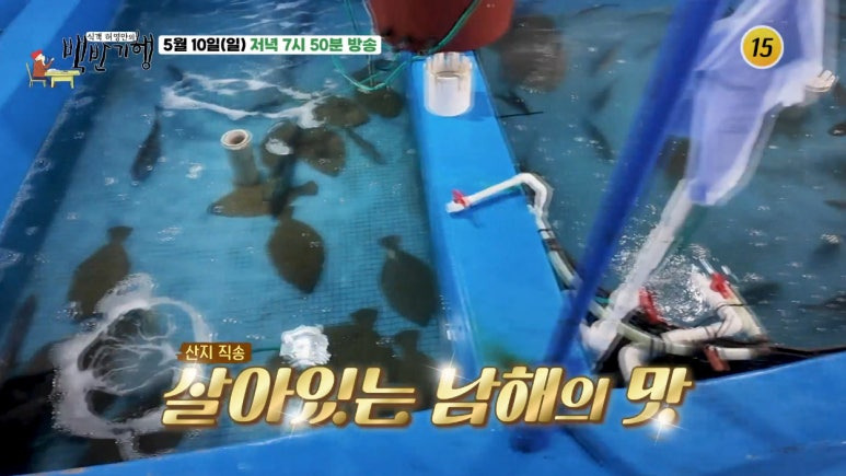 백반기행 보성밥상 낙지 연포탕 쭈꾸미 샤브샤브